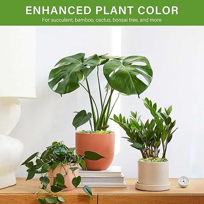 NUPICK 12 lbs Pebbles for Indoor Plants, 3/8 Inch Pea Gravel for Fish Tank, Polished Decorative Rocks for Succulent, Natural River Stones for Vases, Cactus, Landscaping, Bird Bath, Aquarium, Jade