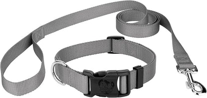 Country Brook Petz - Everyday Nylon Dog Collar and Leash - 10+ Cool Colors (1 Inch, Extra Large, Silver)