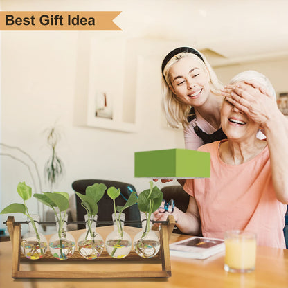Renmxj Plant Propagation Station, Propagation Vases for Plants, Unique Gardening Birthday Gifts for Women Plant Lovers Mom Best Friend - 5 Bulb Glass Vases