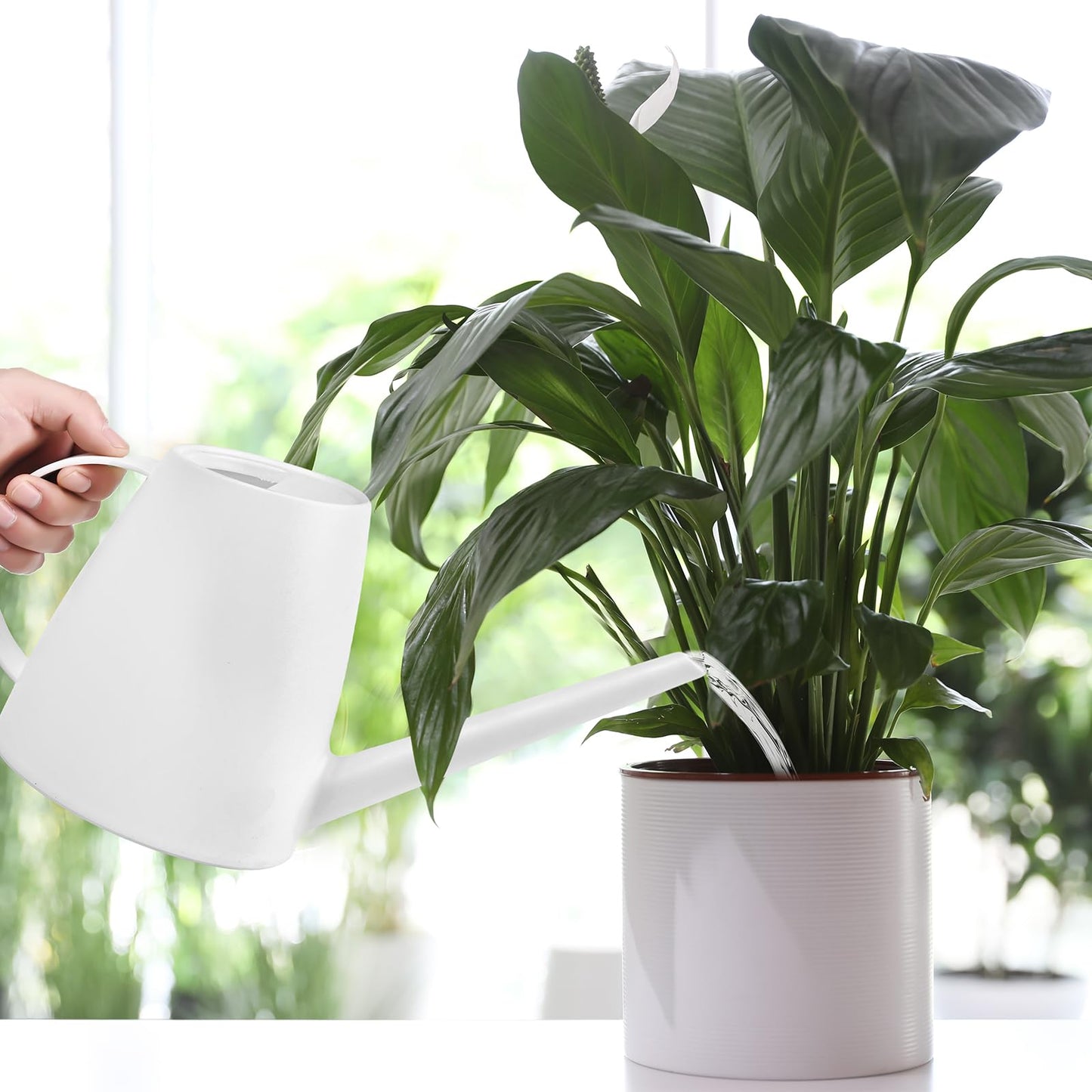 TTAOE GN Watering Can - for Indoor and Outdoor House Plant Garden - with Long Spout - 1/2 Gallon - White
