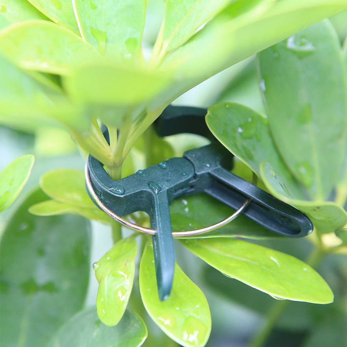 Unigift 120Pcs Re-Useable Large and Small Plant Support Clips Garden Plant Support Spring Clips Plastic Tree Shrub Tie Cane