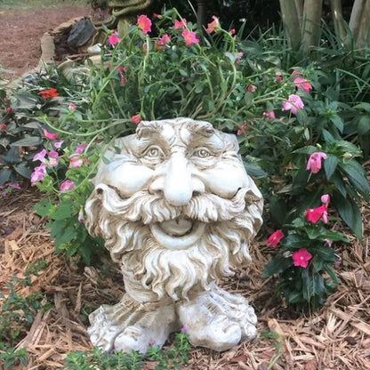 Sheremart Whimsical Face Planter - 6inch Funny Wizard Head Sculpted Pot (Antique White Resin), Unique Succulent Planter for Indoor/Outdoor Garden Decor (1#)