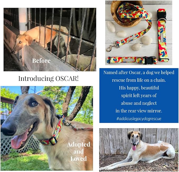 Lucky Love Dog - Adjustable Dog Collar and Leash Set with Easy Click Buckle for Small Dogs, Durable, & Comfortable Collar for Male & Female Dogs, Puppies & Adult Ones - Oscar Combo, Small