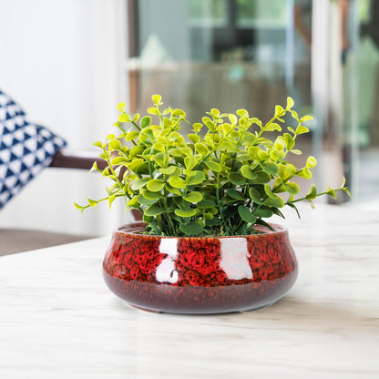 ARTKETTY Succulent Pots - 8 Inch Plant Pot, Large Bonsai Pots with Drainage, Ceramic Planters for Indoor Outdoor Plants, Round Shallow Cactus Flower Plant Container Bowl Decorative Home Garden