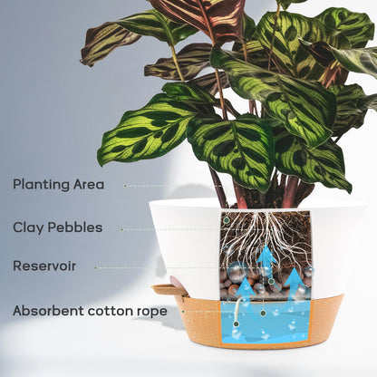FIASON 12 Inch Self Watering Pot with Visual Water Window, Drainage Holes & Watering Lip, Set of 2 Large Plastic Planters for Indoor Outdoor Plants, Modern Decorative Flower Pot (White)