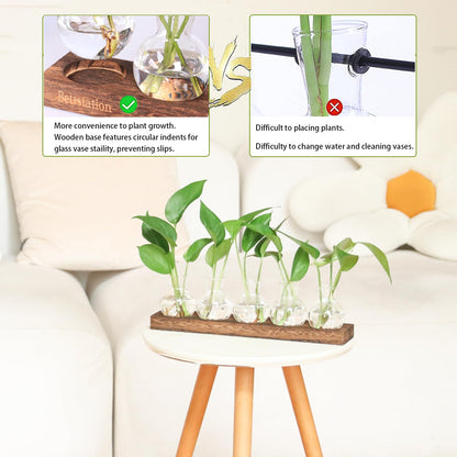Bettstation Plant Propagation Station, Plants Terrarium with Wooden Stand 5 Bulb Houseplants Glass Vase for Hydroponic Plants Gift for Plant Lovers Home Office Decor