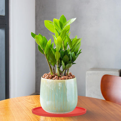 PATIKIL 7.7 Inch Round Ceramic Plant Saucer, Plant Saucer Tray Flower Planter Drip Tray for Indoors Outdoors Patio Balcony, White
