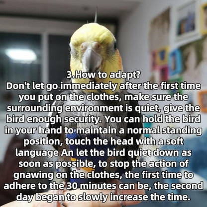 Bird Diaper Protective Parrot Nappy - 4 Pack, Reusable Flight Suit with Waterproof Inner Layer, Adjustable Shoulder Straps, Washable Cute Urine Wet Suit for Parakeet Conure (XXS-Pacific Parakeet)