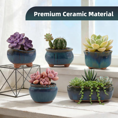 ginojex Ceramic Succulent Garden Pots Small Plant Planter Container with Drainage Set of 5 for Home Office Decor