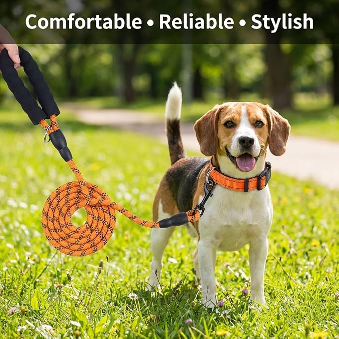 Dog Leash and Collar Set – 6 FT Strong Rope Leash with Padded Handle & Adjustable Nylon Collar Reflective for Small Medium Large Dogs (Orange, L)