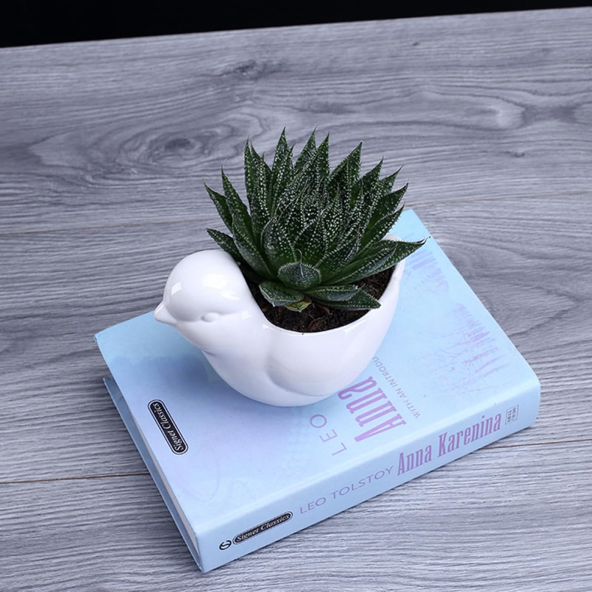 Mikikit Ceramic Bird Shape Succulent Plant Pot with Saucer, White Small Indoor Flower Planter for Desktop Garden Decor