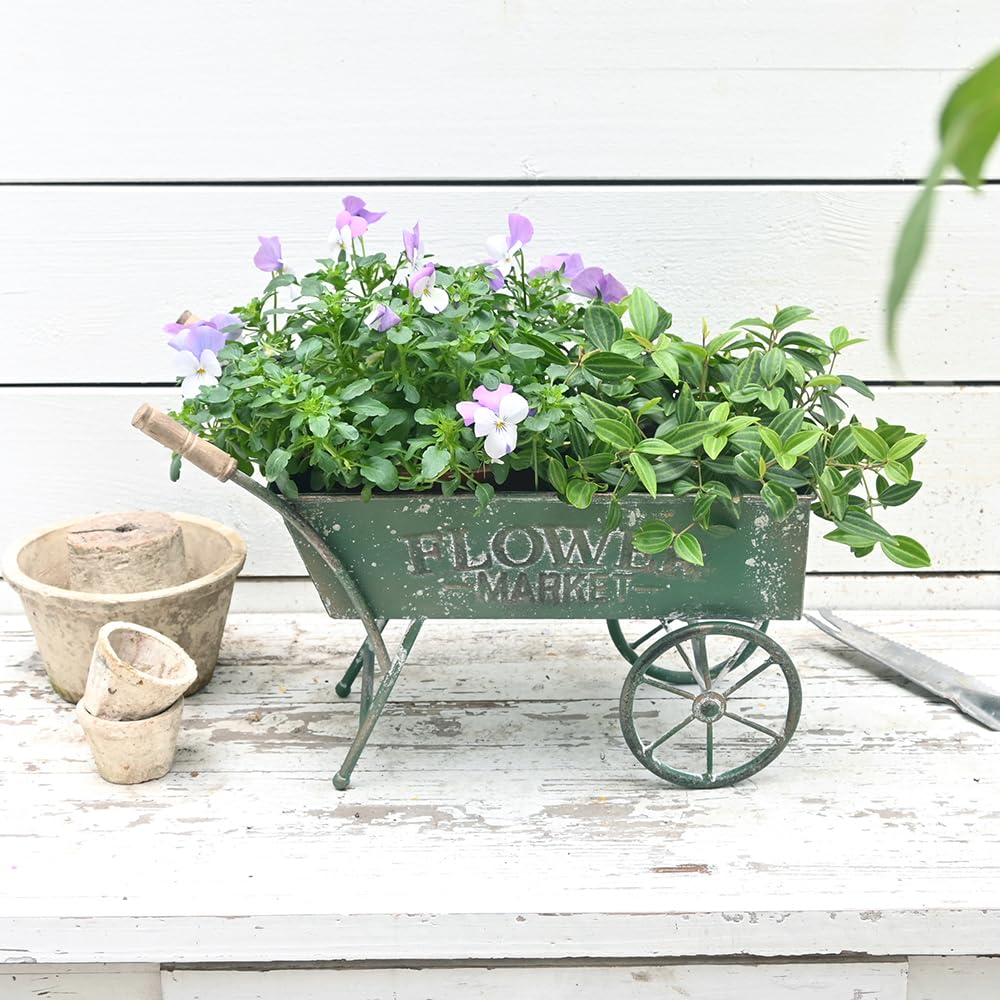 Z² BellaDecor 15 Inch Farmhouse Small Flower Cart with Wooden Handles Metal Wagon Planters for Outdoor Plants Decorative Wheelbarrow Plant Cart for Patio Garden Balcony Green