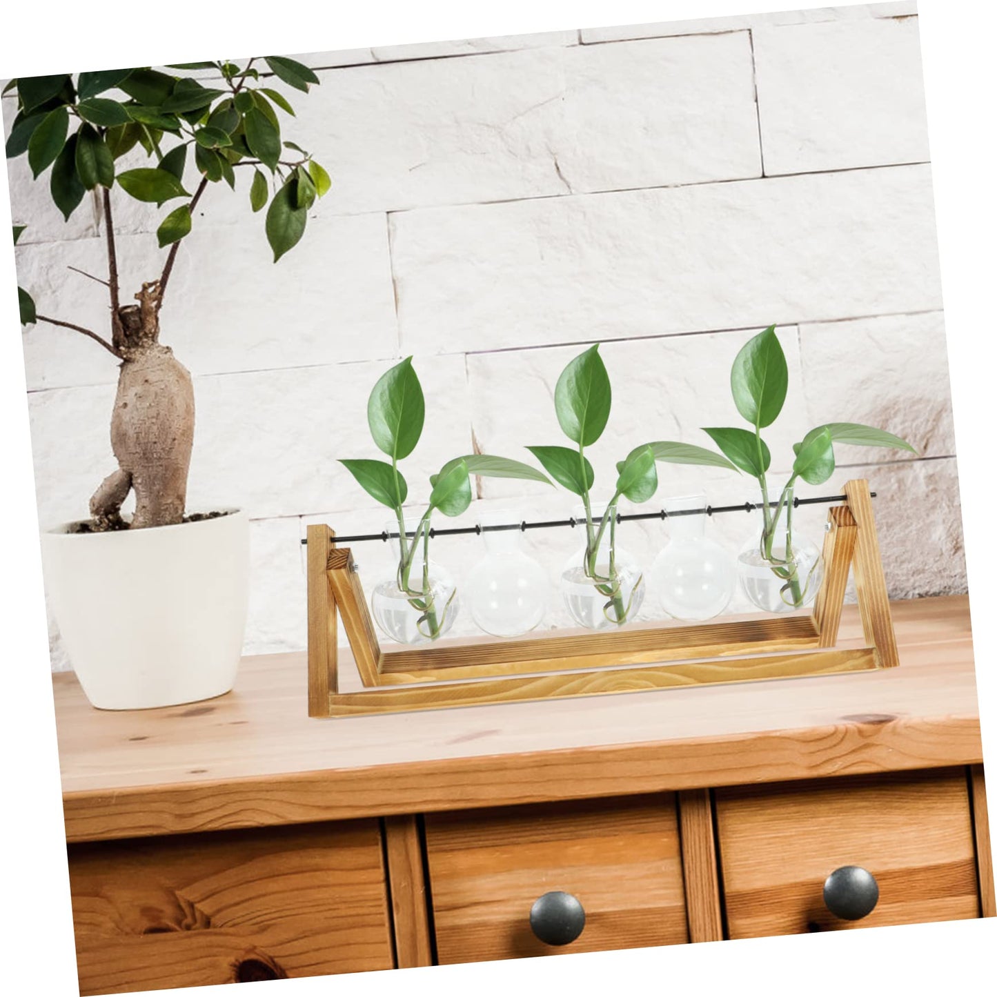 BESPORTBLE Wooden Stand Plant Propagation Glass Vases for Hydroponic Plants Terrarium for Home Decor