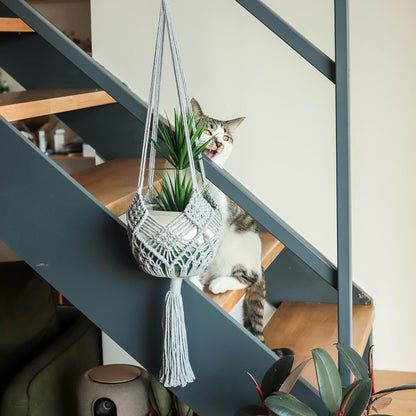 XINBOR 4 Pack Macrame Plant Hangers Indoor Up to 10 inch Pot, Boho Hanging Planters, Plant Holder with 8Pcs Stainless Steel Hooks (4Pcs Gray Hanger)