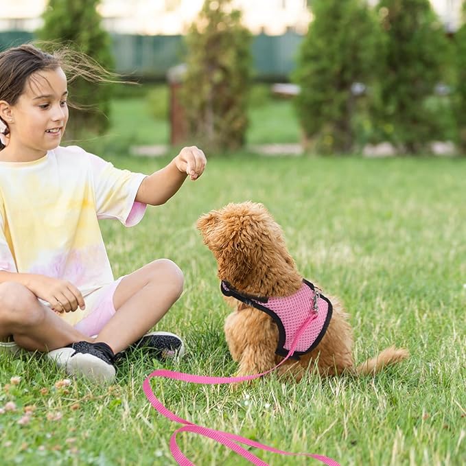 TEHAUX 2pcs Small Pet Harness and Leash Set for Walking Breathable Mesh Vest Adjustable for Rabbits, Guinea Pigs, Puppies, and Kittens Pink and Fruit Green Medium Size for Outdoor