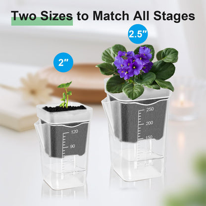 ZPAIO 10 Pack 2.5" Mini Self Watering Pots for Indoor Plants, Small Clear Plastic Planters with Drainage & Water Level, Semi Hydroponic Pots for African Violet, Propagation and Succulents