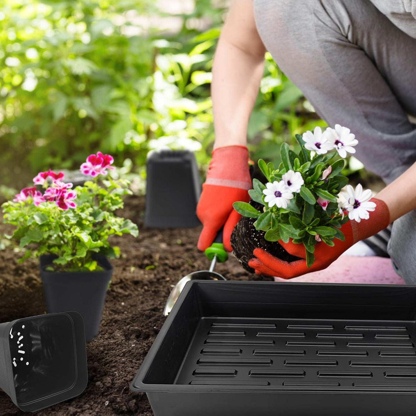 RooTrimmer 3.5 inch (9CM) Square Nursery Pots 60pcs, Sturdy Seedlings Trays 5 Pcs, Seeds Starter Germination Tray, Microgreenings Planter Nursery Propagation 5 Sets