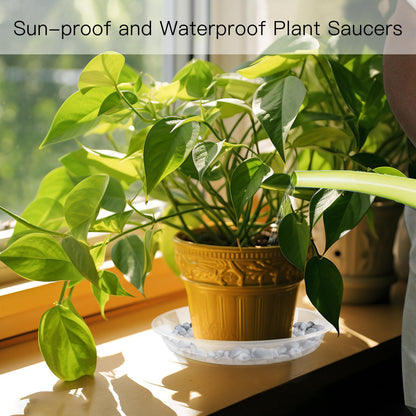 Dapsang 6 Pack Plant Saucers of 10 Inch, Clear Plastic Plant Trays for Pots Indoor Outdoor, Round Durable Sturdy Plant Water Catcher Tray for Drainage Decoration Protection