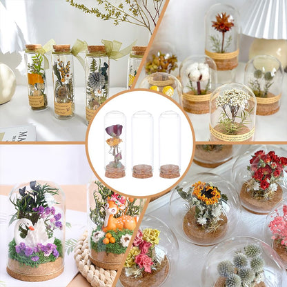BENECREAT 20Pcs Dome Decorative Jars, 1.2x3.4inch Glass Display Dome Cloche Glass Bell Jar with Cork Base for Flower Storage, Specimens, Crafts Decorations