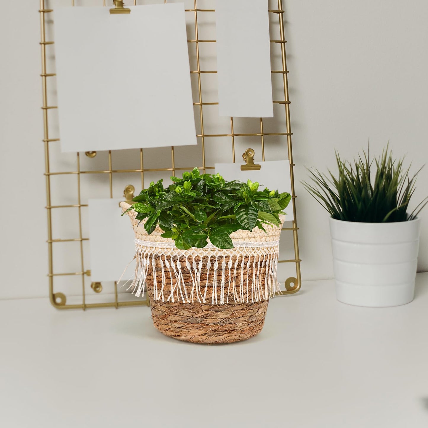 Alipis Boho Woven Planter Basket with Built-in Jute Liner Straw Rope Plant Container Holder for Indoor and Outdoor Use Decorative Plant Basket for Home Office Patio 8.26X7.48X6.69 Inches