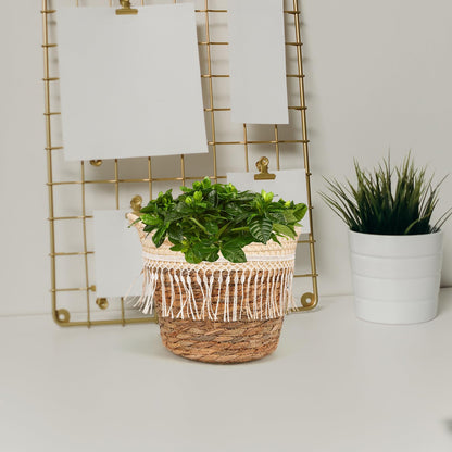 Alipis Boho Woven Planter Basket with Built-in Jute Liner Straw Rope Plant Container Holder for Indoor and Outdoor Use Decorative Plant Basket for Home Office Patio 8.26X7.48X6.69 Inches