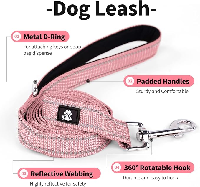 IVY&LANE 2 Pack Reflective Dog Collars and Leashs Set,Adjustable Neoprene Padded Dog Collar for Puppy, Breathable Nylon Pet Collar for Small Medium Large Dogs(Small,Pink+Teal)