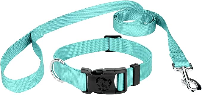 Country Brook Petz - Everyday Nylon Dog Collar and Leash - 10+ Cool Colors (3/4 Inch, Medium, Light Cyan)