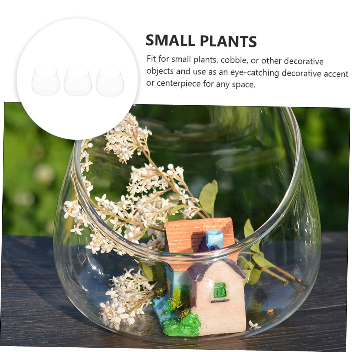 TIDTALEO 3pcs Slant Cut Glass Bottles Ecological Terrarium Vases for Succulent Plants Desktop Micro Landscape Decoration