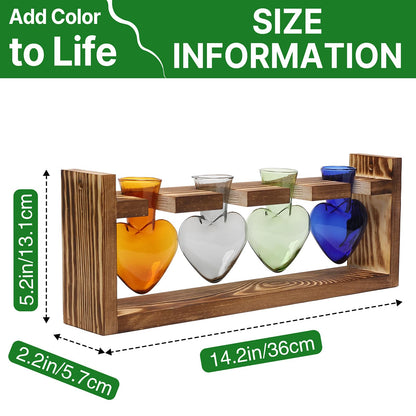 CYZglass Plant Propagation Stations Heart Plant Terrarium Kit Gift for Women Plant Lover Glass Vases