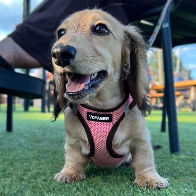 Best Pet Supplies Voyager Step-in Air All Weather Mesh Harness and Reflective Dog 5ft Leash Combo with Neoprene Handle, for Small, Medium and Large Breed Puppies - Pink/Black Trim, XX-Small