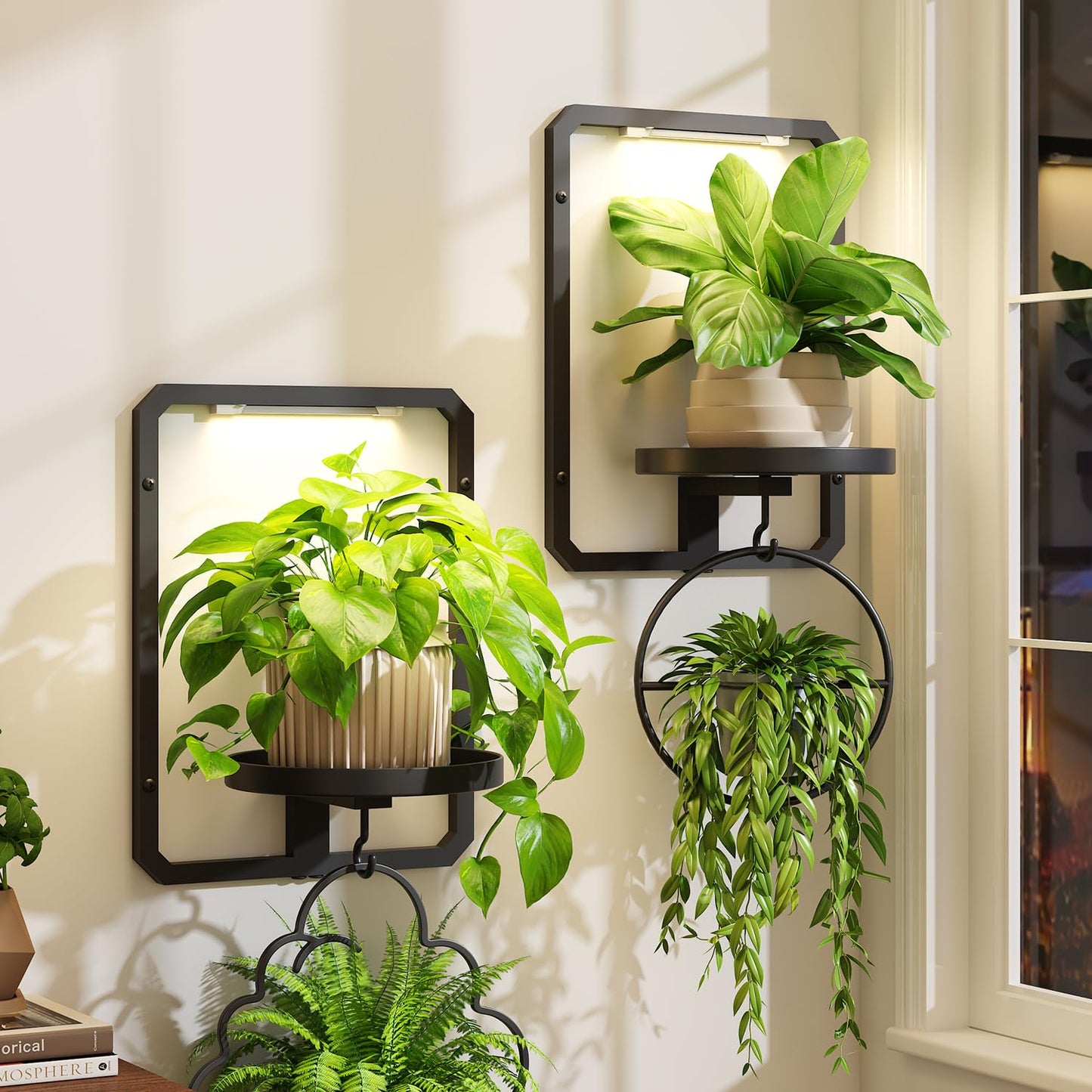 iDavosic.ly Wall Plant Picture Frame Holder Set of 2 with 2 Grow Light for Indoor, Metal Stand with Hanging Hooks, Space Saving Floating Flower Display Decor (Pots/Chains/Plants Not Included)