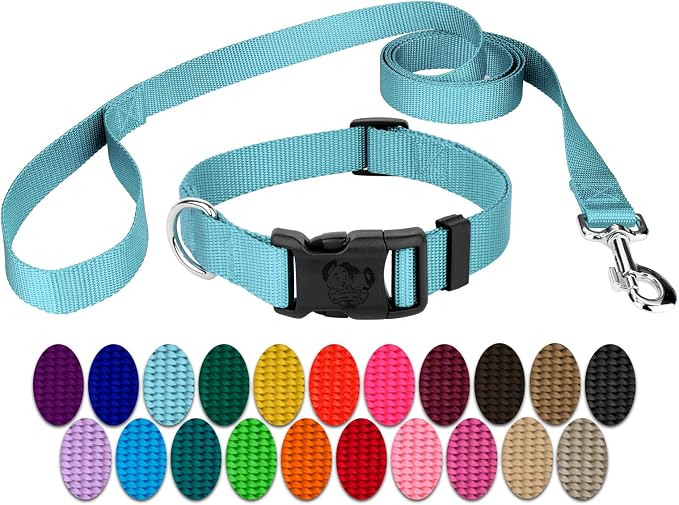 Country Brook Petz - Everyday Nylon Dog Collar and Leash - 10+ Cool Colors (3/4 Inch, Medium, Ocean Blue)