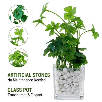 MyGift Artificial Clover and Taro Plants in Clear Glass Vase with Decorative White Stones, Set of 3