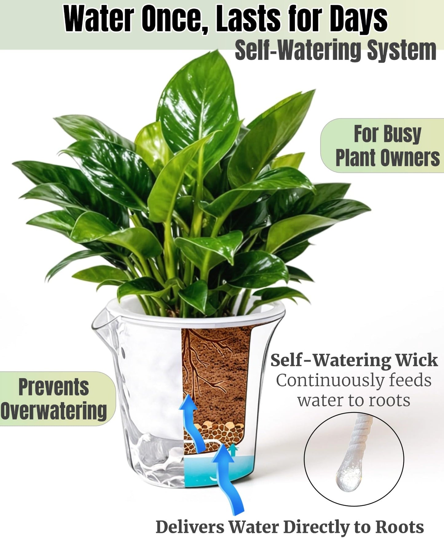 BovcTrraann 3-Pack Clear Self Watering Plant Pots, 5 Inch Clear Flower Pots with Drainage Holes, Tray and Rope, Plastic Self Watering Planters for Indoor Outdoor Garden Plants, African Violet, Herbs