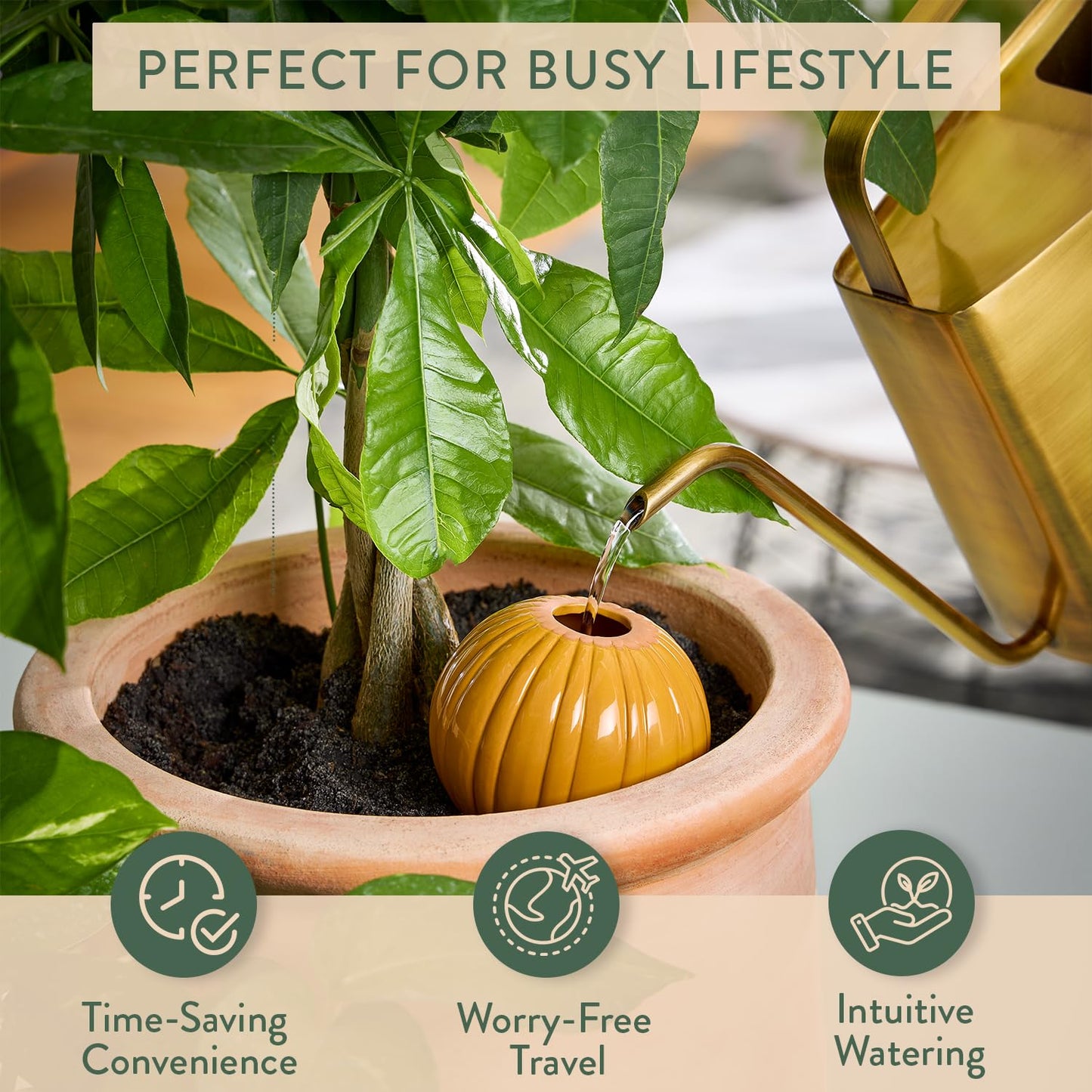 Modern Sprout Terracotta Self Watering Bulbs for Indoor Plants, 10oz Plant Watering Globes 3 Pack, Glazed Finish with Cork Top - Plum, Sage & Mustard, Decorative Plant Accessories Gift for Mom,Grandma