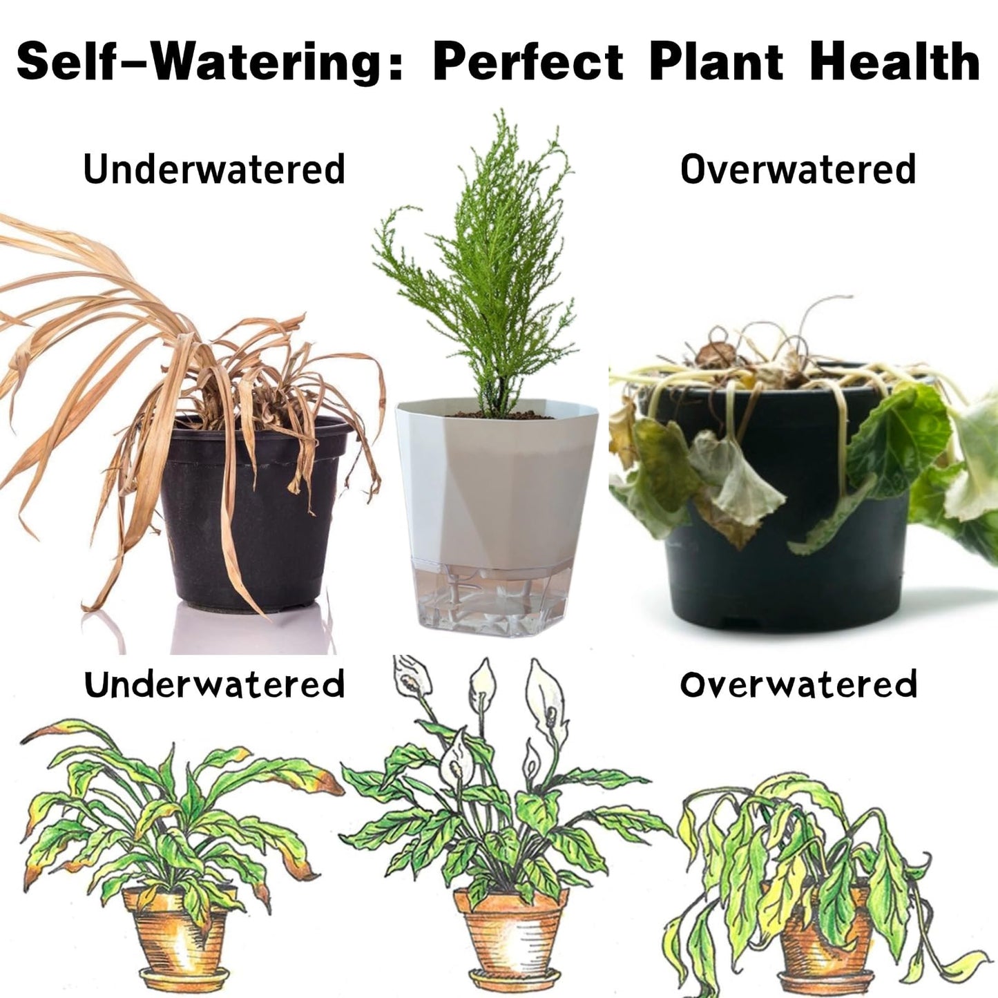 BovcTrraann 4 Packs Self Watering Plant Pots, Plastic Flower Pots with Drainage Hole and Saucer, Self Watering Planters for Indoor Outdoor Garden Plants, African Violet, Herbs (White, 5")