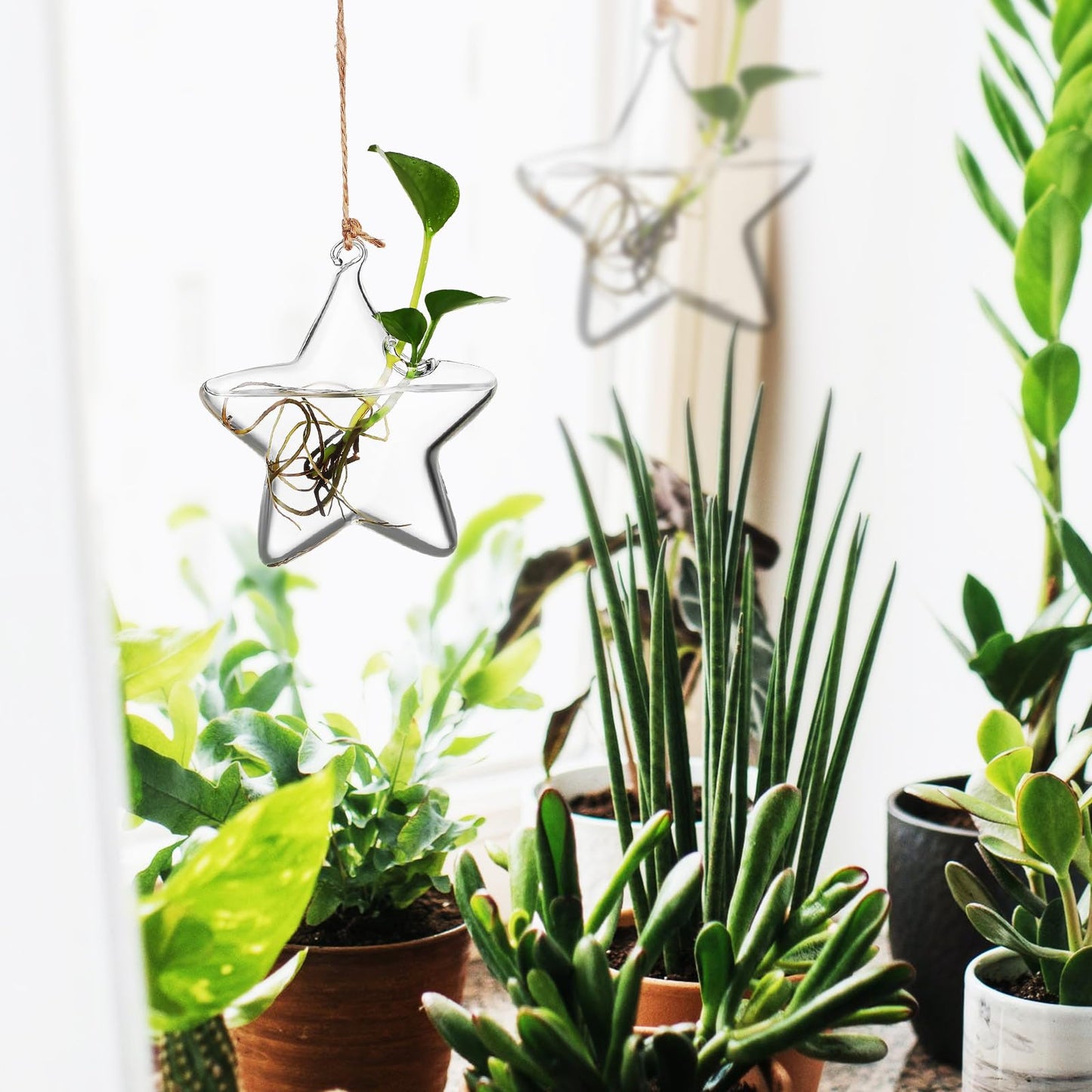 NUOBESTY Hanging Glass Flower Vase Hydroponic Glass Planter Marine Shape Small Terrarium Pot for Indoor Plant Propagation Home Décor
