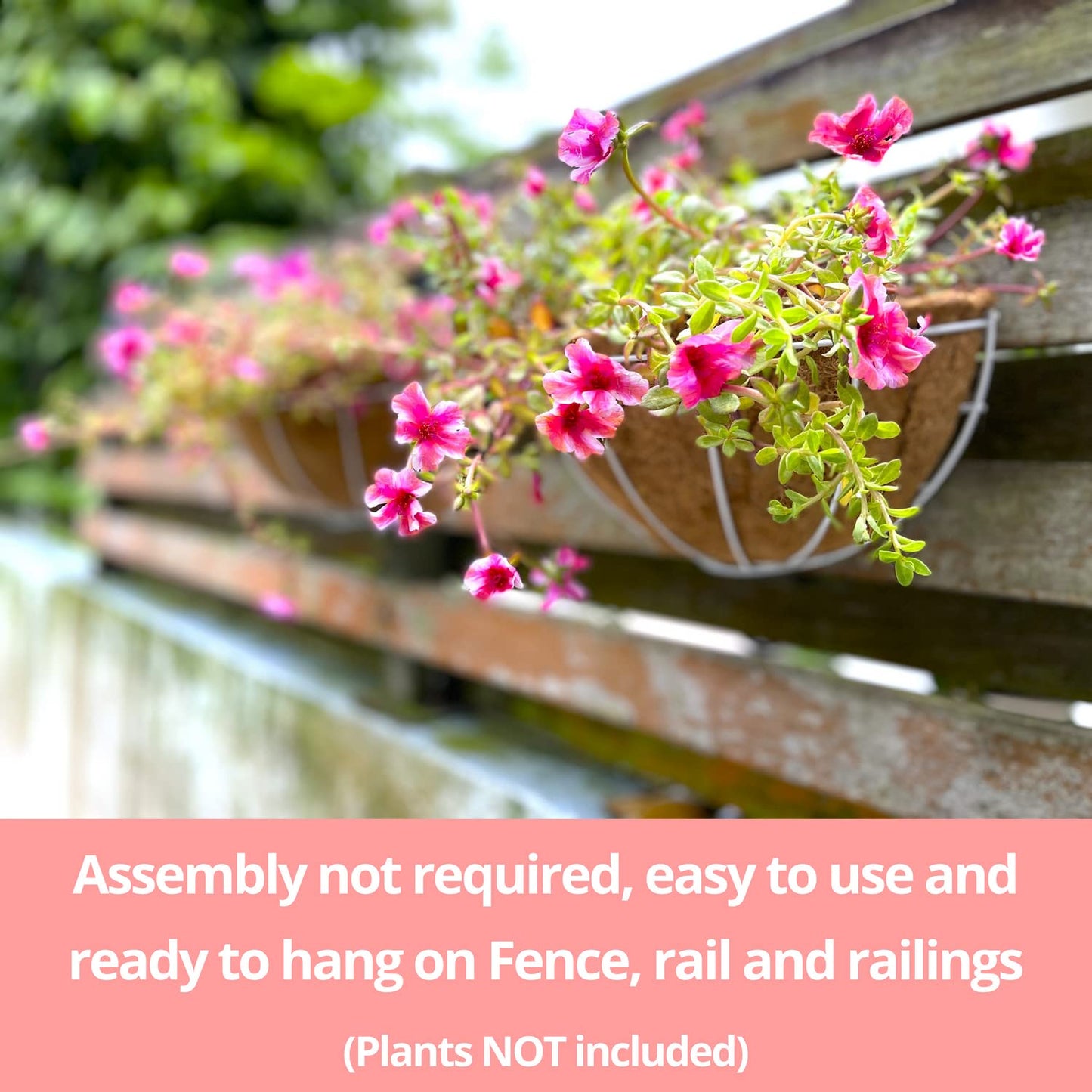 LaLaGreen Bundle (2 Pack, 10 Inch + 2 Pack, 12 Inch) Small Hanging Flower Pots with Coco Liner, White Metal Wire Round Plant Holder with Hook Chain, Wall Mounted Basket Fence Railing Deck Porch Patio