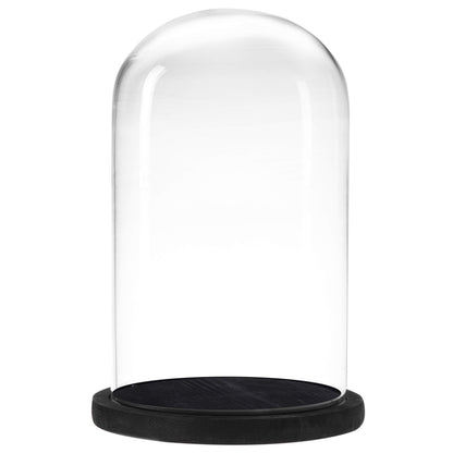 MyGift The Bell Jar Glass Cloche with Black Wood Base, 10 Inch Tall Clear Decorative Glass Dome Display for Plants, Curios, Keepsakes, Heirlooms