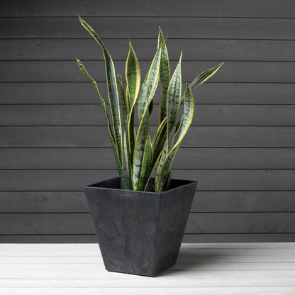 Root & Vessel 35148, Black, Ella Square Planter, 14-Inch