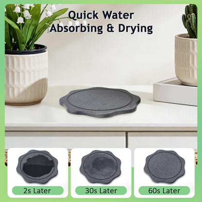 BAISHUN Plant Saucer for Indoors, 4PCS Flower Pot Saucers Plant Trays for Pots Instant Dry Diatomite Water-Catching Trays for Indoor Plants Drip Trays Keeping Counter and Floors Dry and Clean