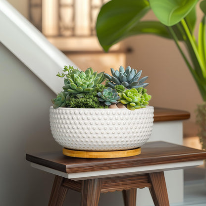 EPFamily Succulent Pots 8 Inch - Ceramic Bonsai Planters for Indoor Plants, Plant Pot with Drainage Hole and Saucer, Shallow Round Flower Planter, Modern Room Decor, Gifts for Plant Lover, White