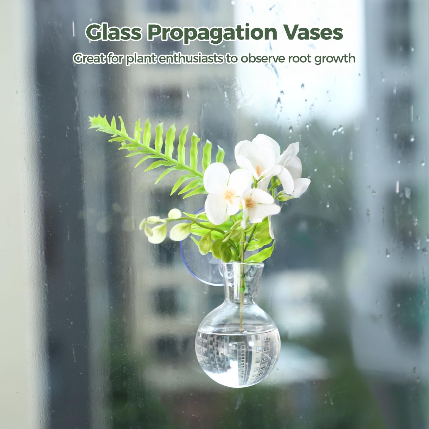 4 Pack Glass Window Propagation Stations, Hanging Plant Vases with Suction Cups, Wide-Mouth Terrarium Planters for Water Propagation & Rooting Cuttings, Includes 2 Cleaning Brushes, Home Decor Gift