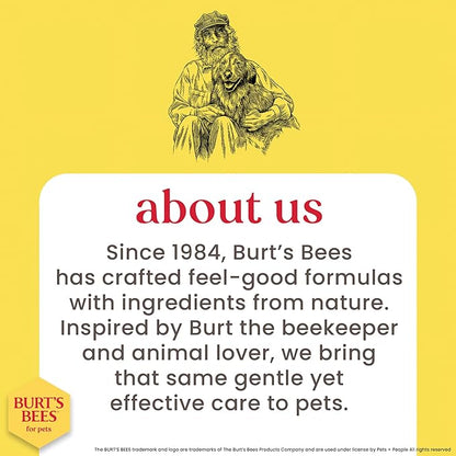 BURT'S BEES FOR PETS Waterless Cat Shampoo Spray, No-Rinse Cat Dry Shampoo with Shea Butter & Honey for Gentle Cleaning Between Baths, pH Balanced, No Harsh Detergents, 10 Fl Oz - 2 Pack