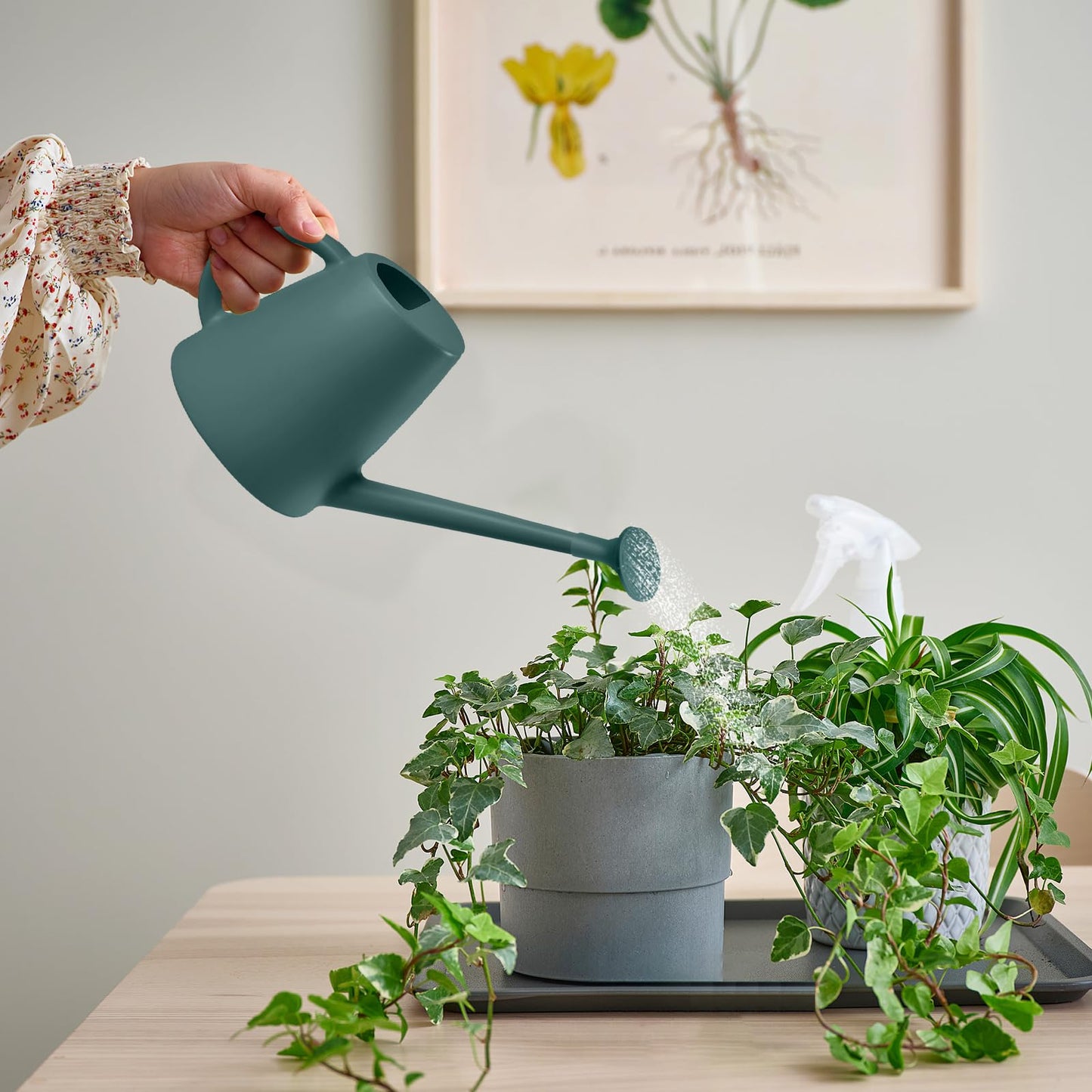 TEIUKAX Indoor and Outdoor Watering Can - Long Spout -1/2 Gallon (64oz) - Blackish Green