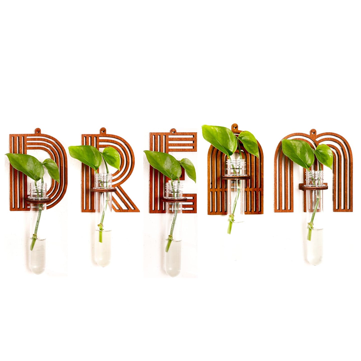 5 Pack Letter Wall Propagation Planters Test Tubes Wall Decor for Hanging Plants Clear Water Plant Vase Brown Wood Upletter Alphabet Functional Art Boho Set Dream
