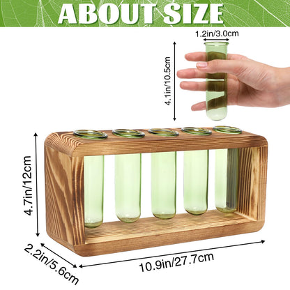 Glass Plant Propagation Station with 5 Test Tubes Colorful Planter Vase Birthday Gifts for Women in Wooden Stand