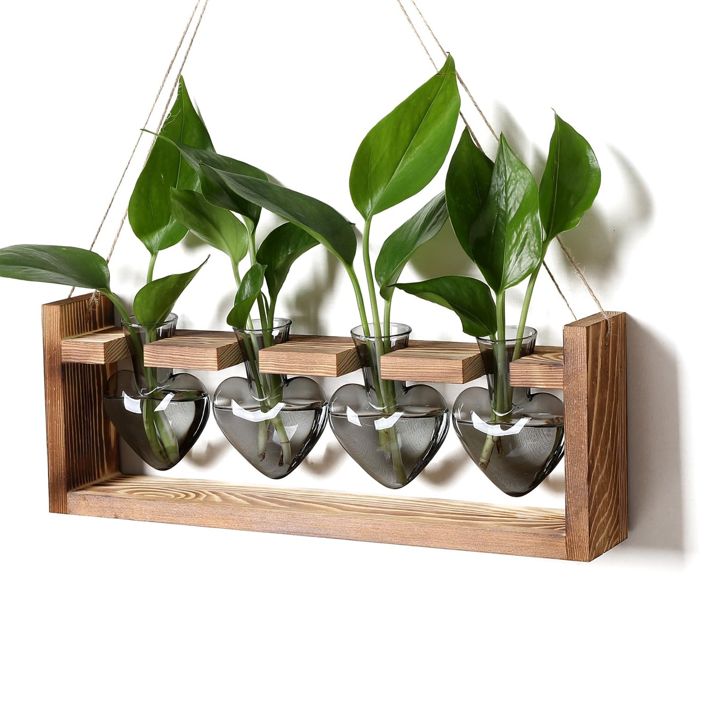 CYZglass Plant Propagation Stations Heart Plant Terrarium Kit Gift for Women Plant Lover Glass Vases