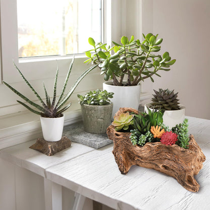 Tebery Artificial Driftwood Stump Log Planter Vintage Cactus Container with Drainage Hole, Creative Imitation Sculpture Resin Succulent Flower Pot for Herb, Strawberry, Small Plants