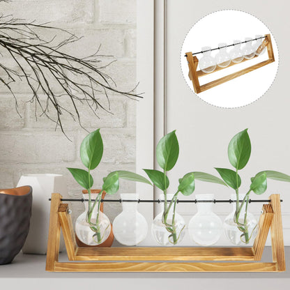 NUOBESTY Glass Plant Propagation Station Set with Metal Stand, 5 Glass Vases for Indoor Hydroponic Plants, Home Décor Terrarium Display for Desktop and Greenery Arrangement